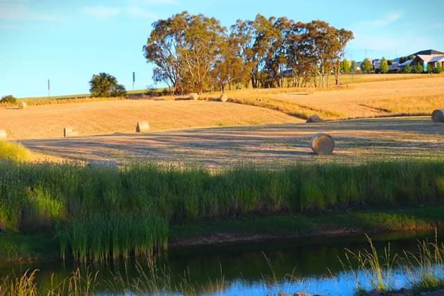 Land for Sale in Adore Mount Barker